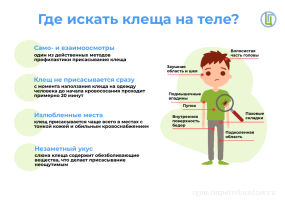 Осторожно, клещи!!! Осторожно, клещи!!!.
